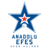 Escudo Anadolu Efes