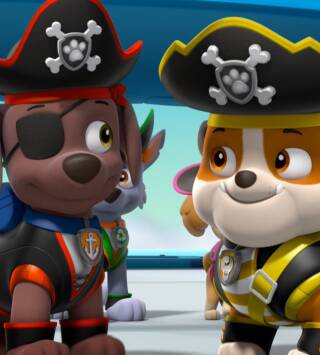 barco pirata patrulla canina