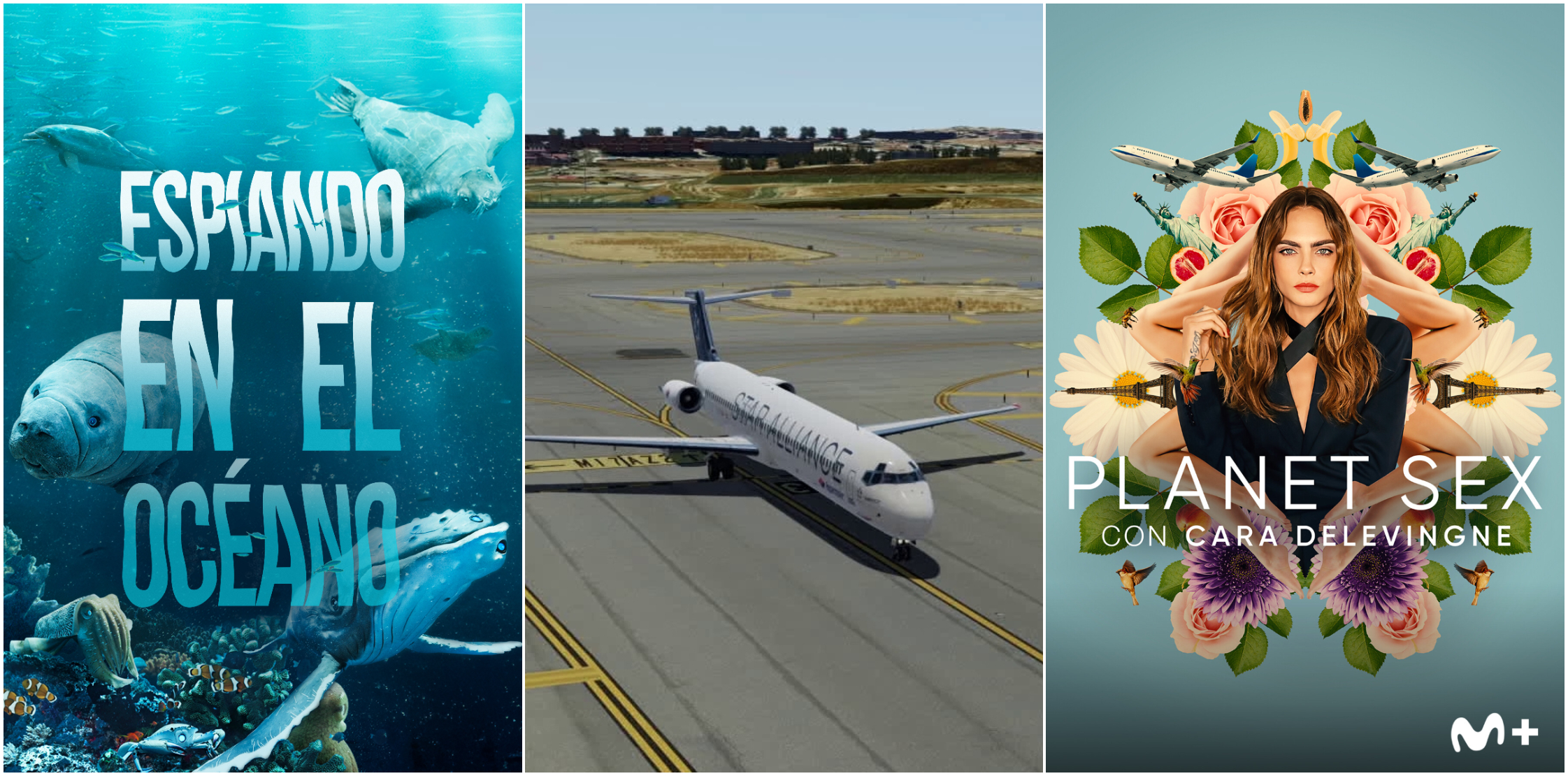 Agosto 2023: documentales de estreno en Movistar Plus+ – Movistar Plus ...