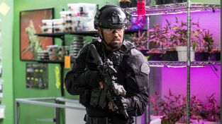 S.W.A.T.: Los Hombres de Harrelson. T(T1). S.W.A.T.: Los... (T1): Ep.9 Ángulos muertos