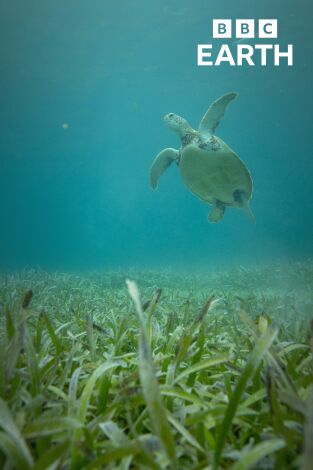 La hora de la naturaleza. La hora de la naturaleza: Cambio