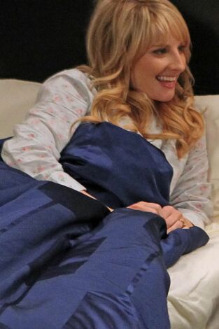 The Big Bang Theory, Season 7. T(T7). The Big Bang... (T7): La insuficiencia Hofstadter