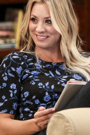 The Big Bang Theory. T(T10). The Big Bang Theory (T10): La colisión de la división de la propiedad