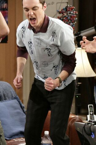 The Big Bang Theory. T(T1). The Big Bang Theory (T1): La polarización Cooperhofstadter