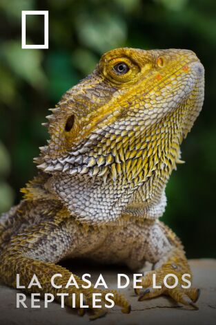 La casa de los reptiles