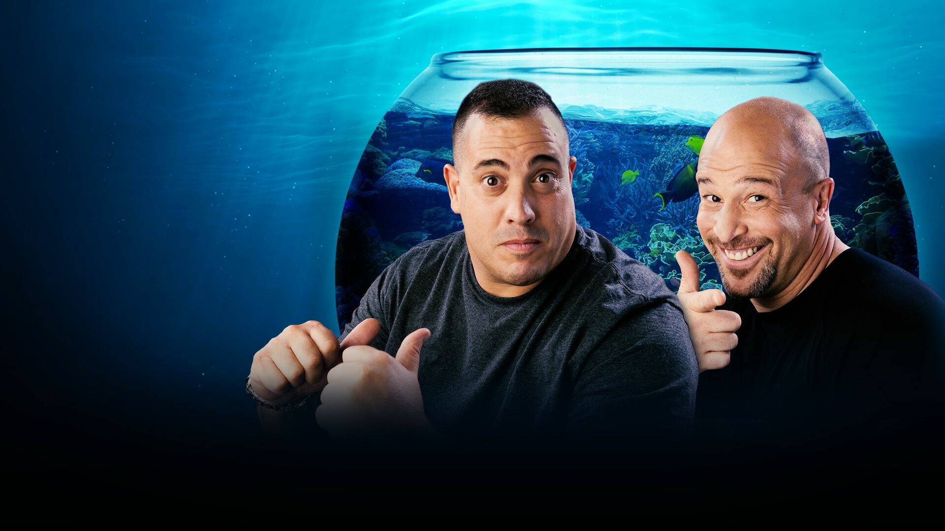 Acuarios XXL: Fish Flop Hip-Hop