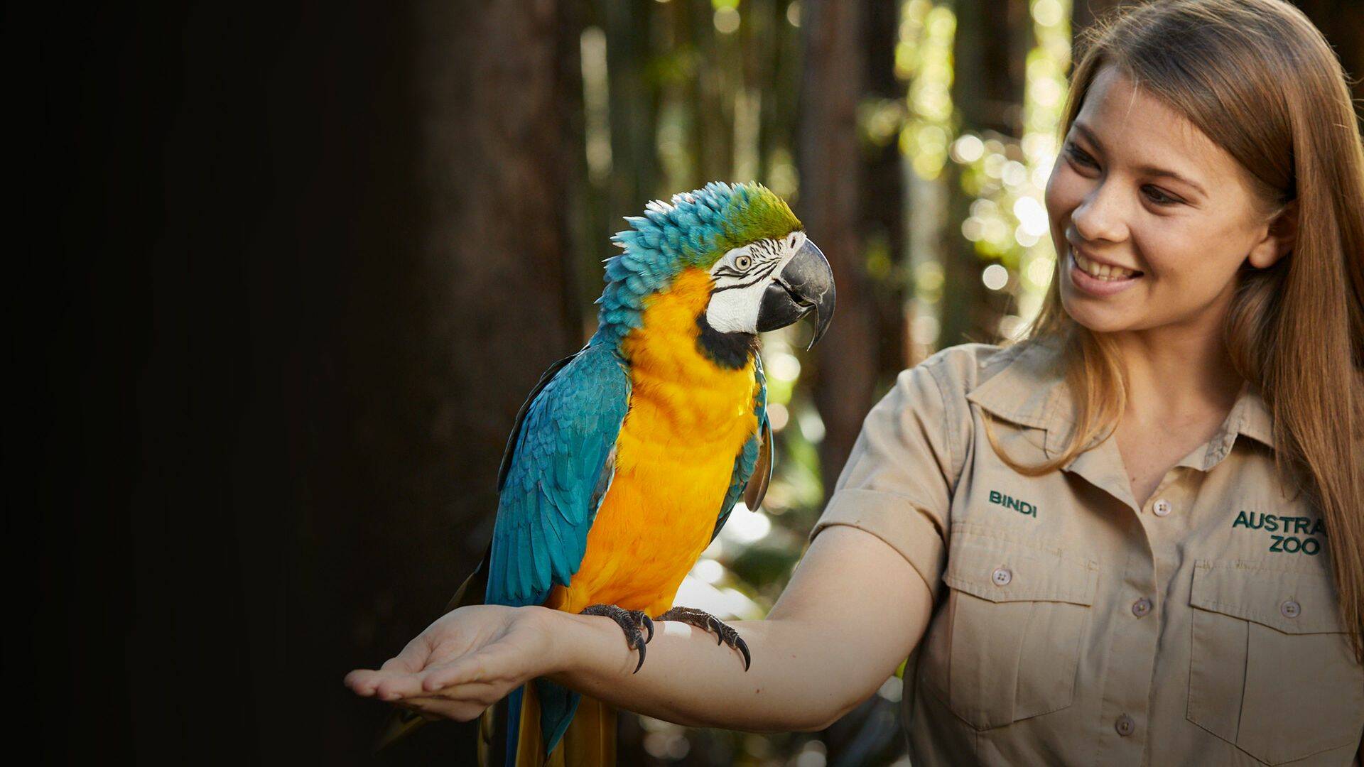 The Irwins (T1): La aventura africana de los Irwin