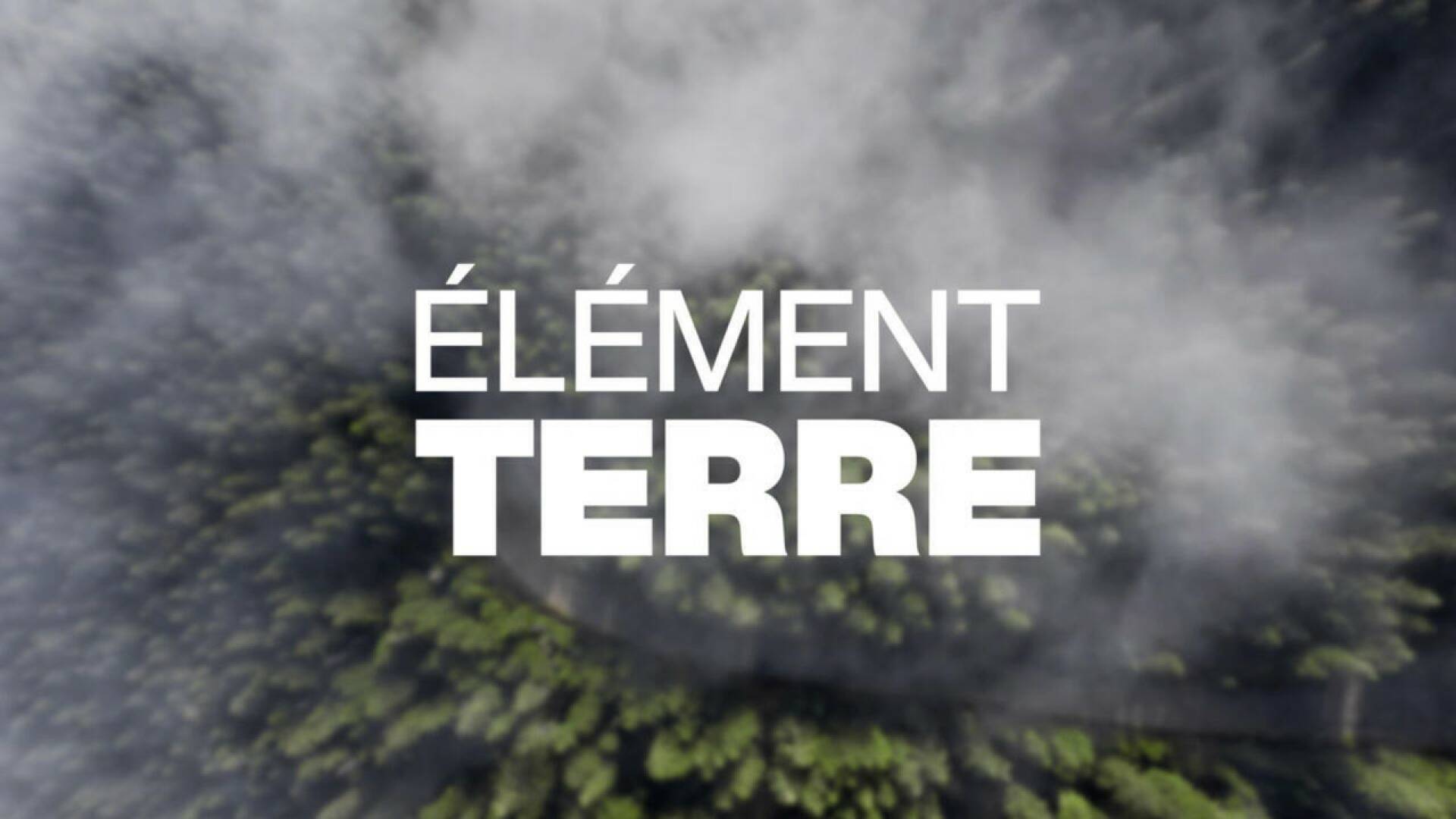 Element terre