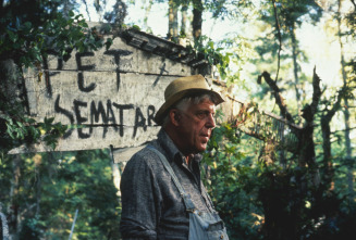 Imagen de El cementerio viviente - 11
