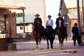 Imagen de Appaloosa - 5