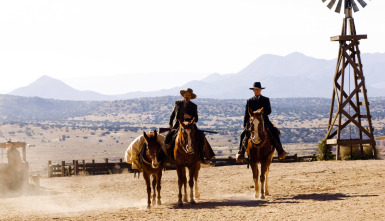 Imagen de Appaloosa - 6