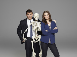 Imagen de Bones (T9) - 8