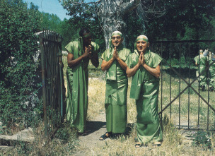 Imagen de La Lola nos lleva al huerto - 10