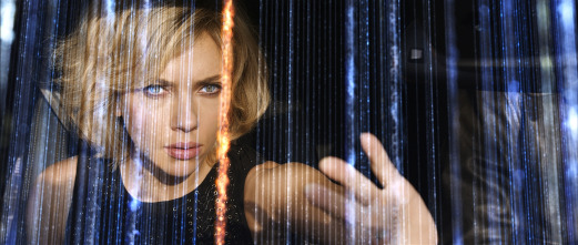 Imagen de Lucy - 4