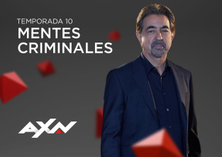 Imagen de Mentes criminales (T10) - 2