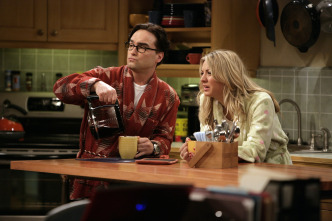 Imagen de Big Bang (T3): Ep.14 La aproximación de Einstein - 6