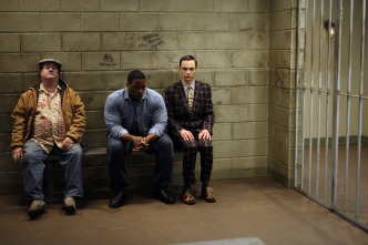 Imagen de Big Bang (T3): Ep.16 La adquisición excelsior - 3