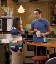 Imagen de The Big Bang Theory (T4): Ep.20 La germinación de las hierbas de jardín - 7
