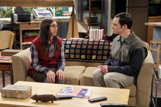 Imagen de The Big Bang Theory (T5): La revelación de la rinitis - 6