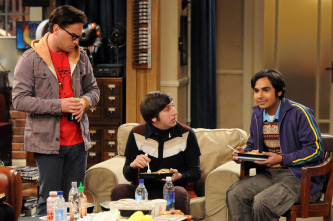 Imagen de The Big Bang Theory (T5): La permutación del aislamiento - 6