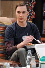 Imagen de Big Bang (T5): Ep.16 La solución a las vacaciones - 3