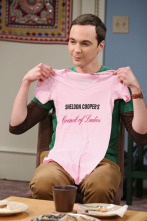 Imagen de The Big Bang Theory (T6): La Equivalencia del Sándwich Vegetal - 5