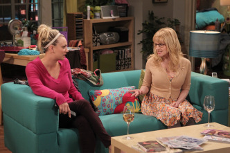 Imagen de The Big Bang Theory (T6): La alternativa de la finalización - 7