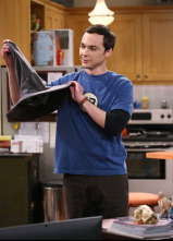 Imagen de The Big Bang... (T7): La recurrencia del todo es posible - 10