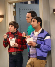 Imagen de The Big Bang Theory (T8): La agitación de la malinterpretación - 3