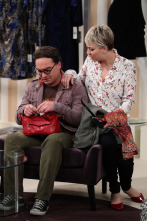 Imagen de The Big Bang Theory (T8): La desintegración de la sonda espacial - 6