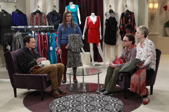 Imagen de The Big Bang Theory (T8): La desintegración de la sonda espacial - 9