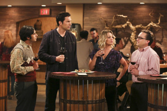 Imagen de The Big Bang Theory (T9): La fermentación de la bifurcación - 5