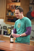 Imagen de The Big Bang Theory (T9): La fermentación de la bifurcación - 7