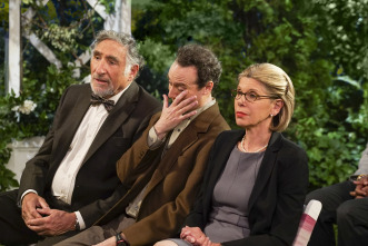 Imagen de The Big Bang Theory (T10): La conjetura conyugal - 5