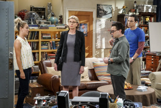 Imagen de The Big Bang Theory (T10): La conjetura conyugal - 6
