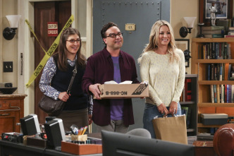 Imagen de Big Bang (T10): Ep.4 La experimentación de la cohabitación - 9