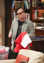 Imagen de The Big Bang Theory (T10): El resumen de las fiestas - 9