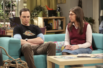 Imagen de Big Bang (T10): Ep.22 La regeneración de la cognición - 7
