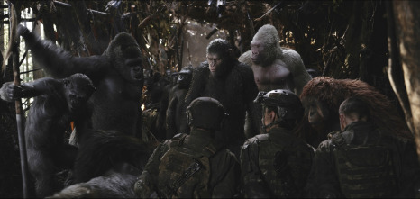 Imagen de La guerra del planeta de los simios - 14