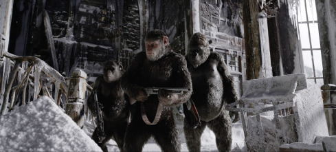 Imagen de La guerra del planeta de los simios - 15