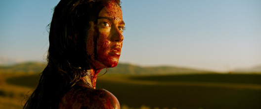 Imagen de Revenge - 6