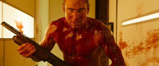 Imagen de Revenge - 11