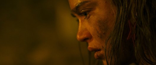 Imagen de Revenge - 16