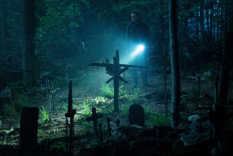 Imagen de Cementerio de animales - 8