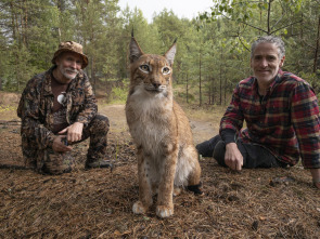 Imagen de Los felinos y yo: Ep.2 - 6