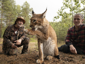 Imagen de Los felinos y yo: Ep.2 - 7