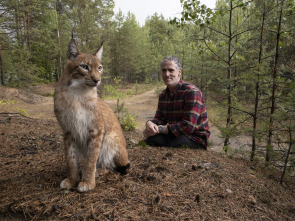 Imagen de Los felinos y yo: Ep.2 - 8