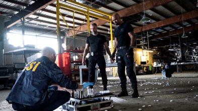 Imagen de S.W.A.T.: Los... (T3): Ep.12 Poli bueno - 2