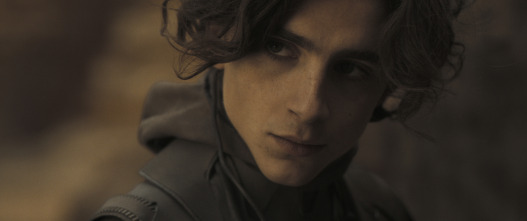 Imagen de Dune - 3