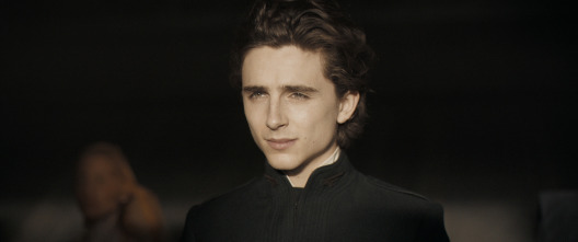 Imagen de Dune - 6